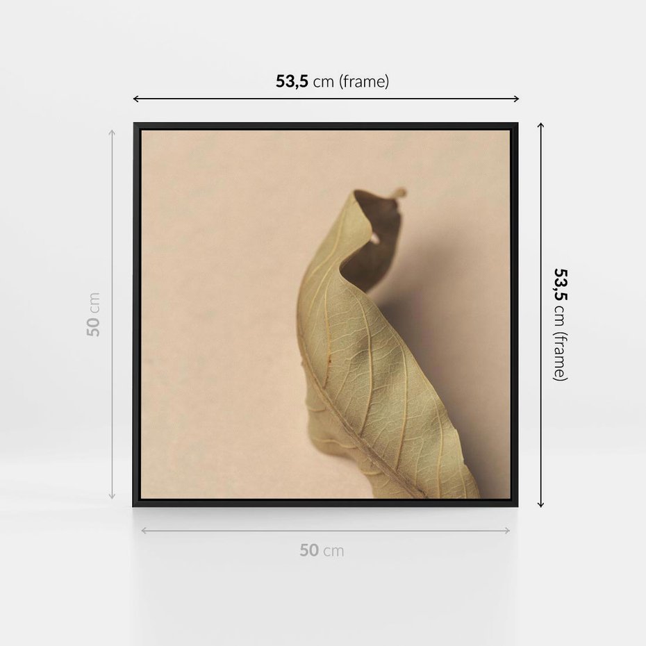 Obraz w ramie 50x50 - Boho suszone liście - suszony, liść - rama czarna