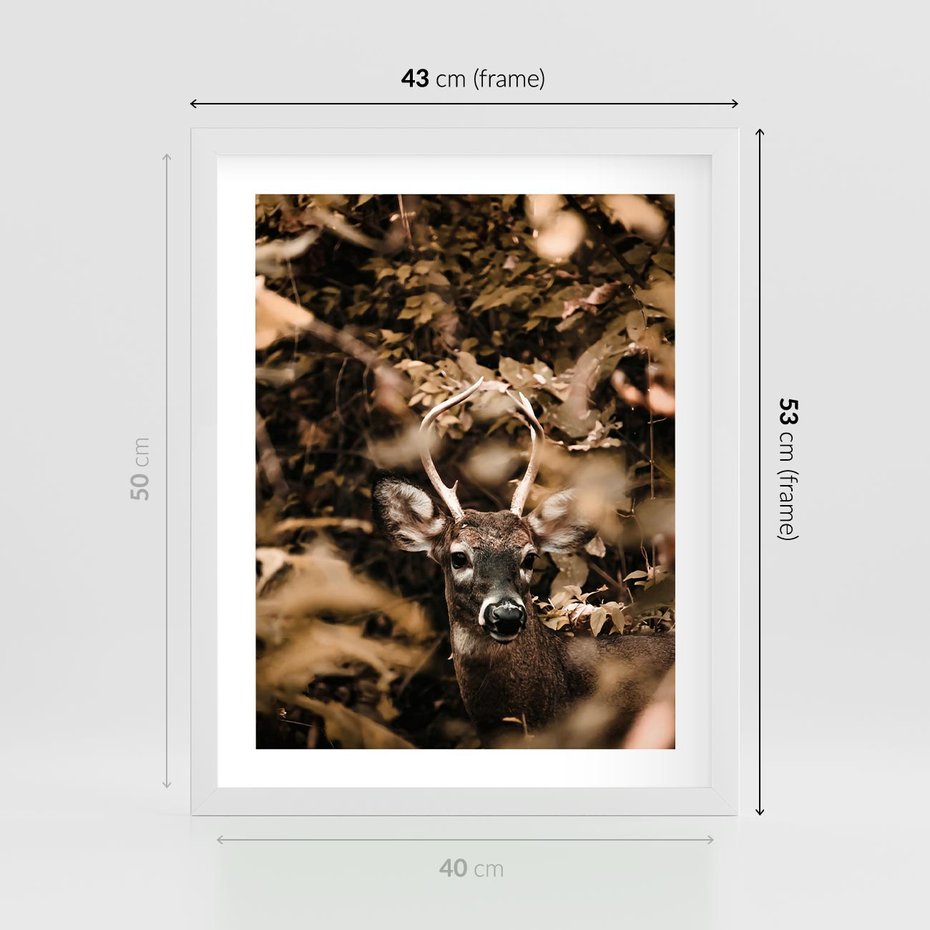 Plakat w ramie 40x50 - Jesienny Jeleń w Lesie - jeleń, w lesie - rama biała