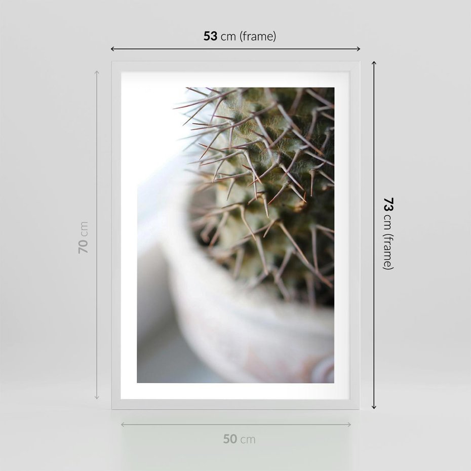 Plakat w ramie 50x70 - Kaktus w Zbliżeniu - kaktus, igły - rama biała