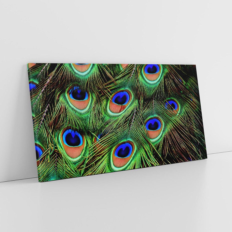 Obraz na płótnie 100x50 - Pawi Ogon - Piękno i Wspaniałość - paw, pióra