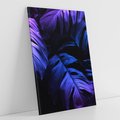 Obraz na płótnie 70x100 - Mroczna Magia Dżungli - mroczna grafika, fioletowe liście monstery na czarnym tle