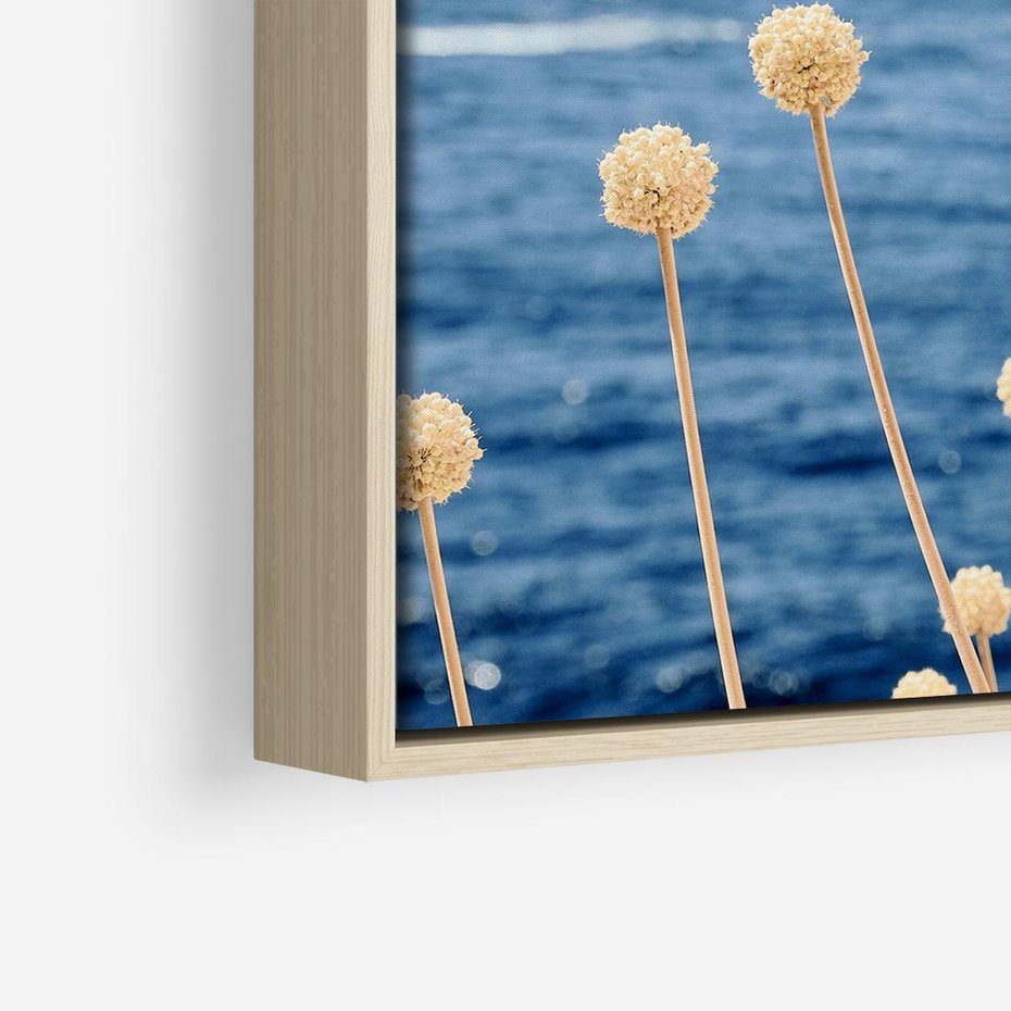 Obraz w ramie 80x80 - Kontrasty Natury - fotografia, pierwszy plan sucha roślinność - rama drewno