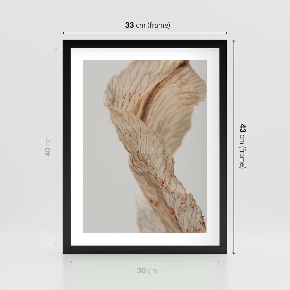 Plakat w ramie 30x40 - Suszone piękno - susz, suche - rama czarna
