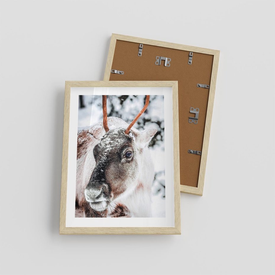 Plakat w ramie 30x40 - Renifer w Zimowej Krainie - renifer, zima - rama drewno