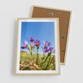 Plakat w ramie 50x70 - Kwiatowa siła łąki - kwiaty, łąka - rama drewno