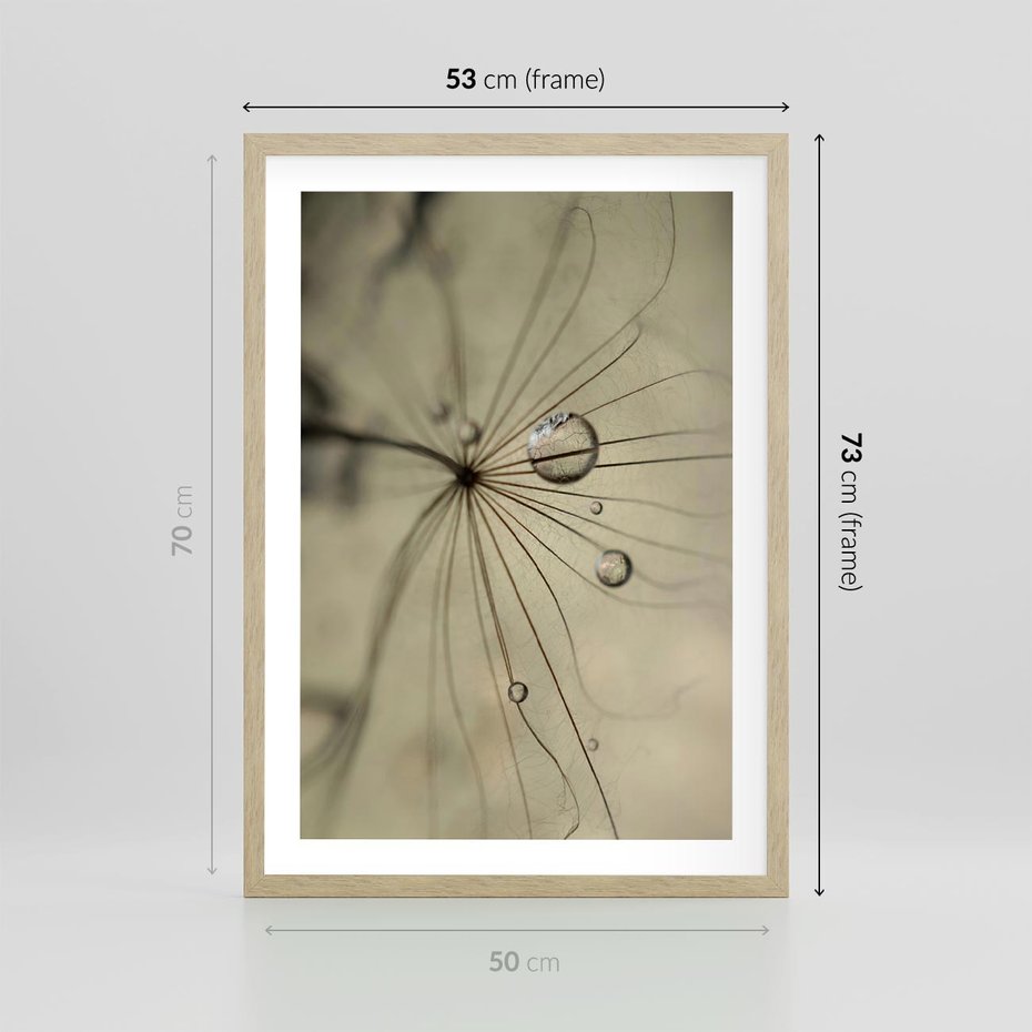 Plakat w ramie 50x70 - Delikatność dmuchawców - dmuchawce, krople - rama drewno