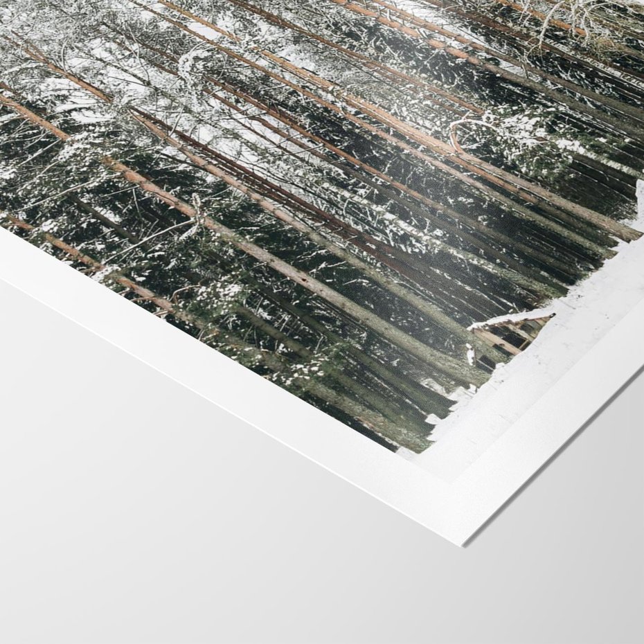 Plakat bez ramy 21x30 - Sypiący Śnieg - las w zimie, drzewa pod śniegiem