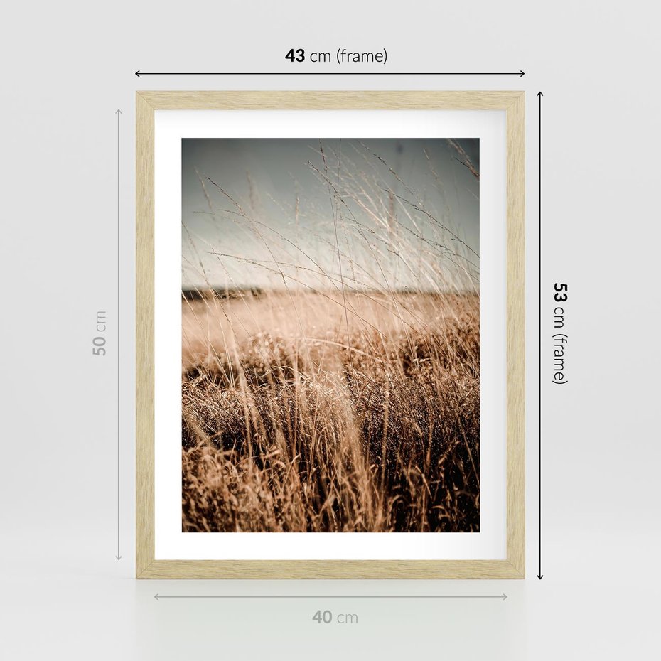 Plakat w ramie 40x50 - Sucha Trawa w Odcieniach Sepii - suche trawy, łąka odcienie beżu - rama drewno