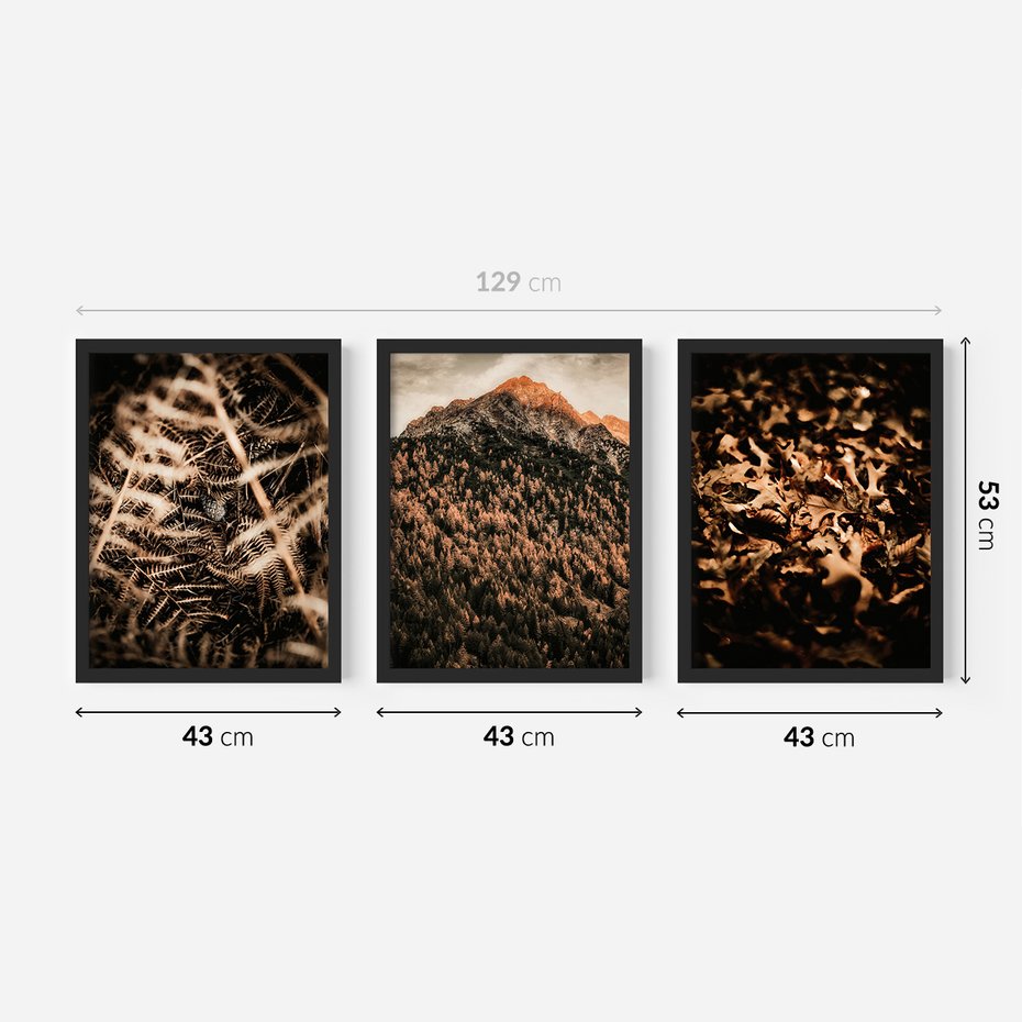Zestaw obrazy w ramie 40x50 galeria - Góry, jesień, liście, boho - rama czarna