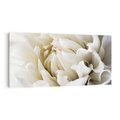 Obraz na płótnie 120x60 - Białe Kwiaty Delikatności - białe, kwiaty