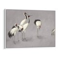 Obraz w ramie 70x50 - Spojrzenie wstecz w pędzlu - szkic rysunek, japońskie żurawie - rama biała