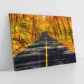 Obraz na płótnie 120x80 - Droga przez jesienny las - droga, las