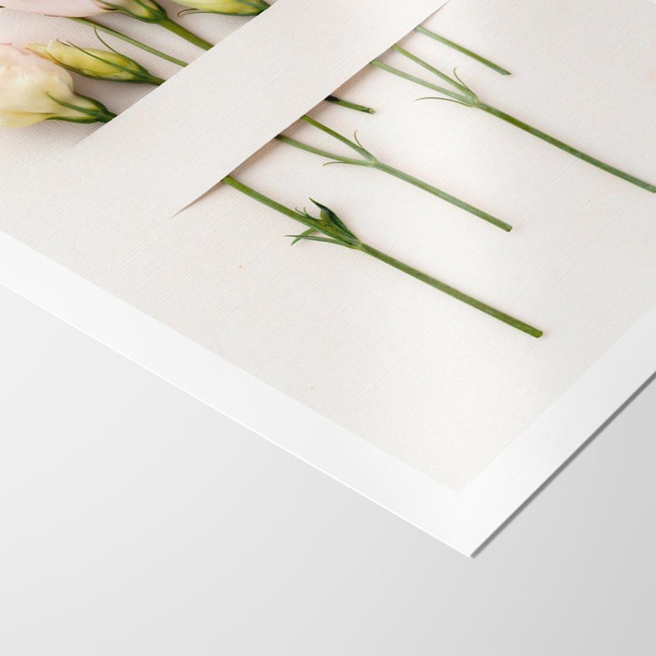 Plakat bez ramy 21x30 - Białe kwiatowe uniesienia - białe, kwiaty