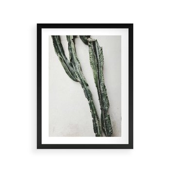 Plakat w ramie 30x40 - Zielona Roślina z Liśćmi - zielona roślina, liście - rama czarna