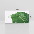 Obraz na płótnie 140x70 - Zielone liście monstery - liście, monstera