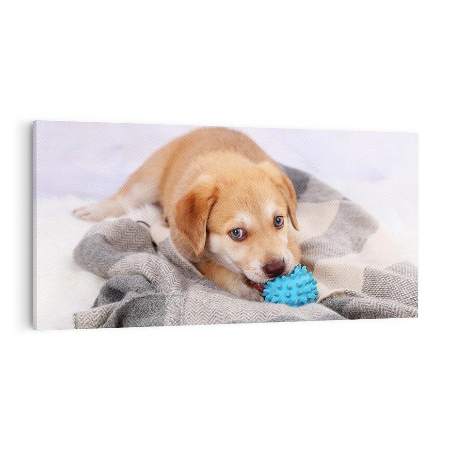 Obraz na płótnie 100x50 - Radość w zabawie: Piesek jako najlepszy przyjaciel - pies, piesek