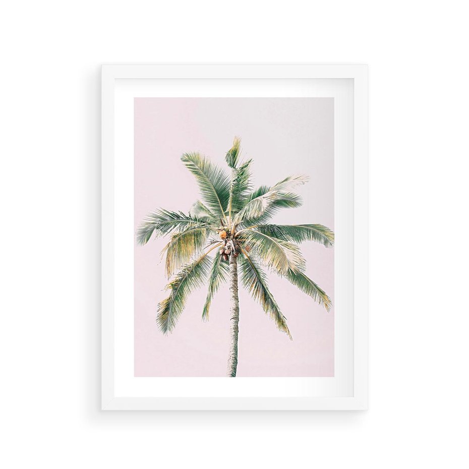 Plakat w ramie 30x40 - Błogość Tropików - palma, tropiki - rama biała