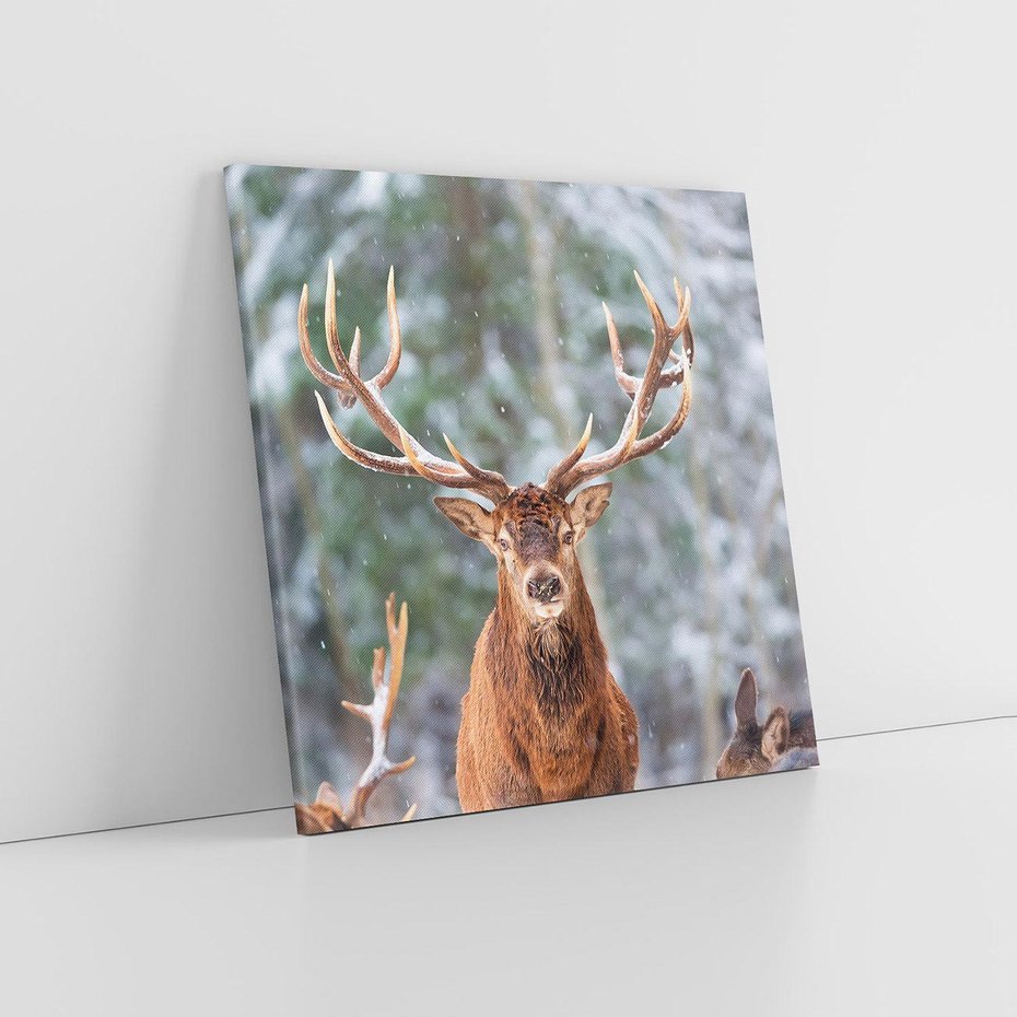 Obraz na płótnie 50x50 - Monarcha Zimowej Dziczy - jeleń, zima