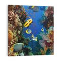 Obraz na płótnie 50x50 - Podwodne królestwo rafy koralowej - rafa, koralowa