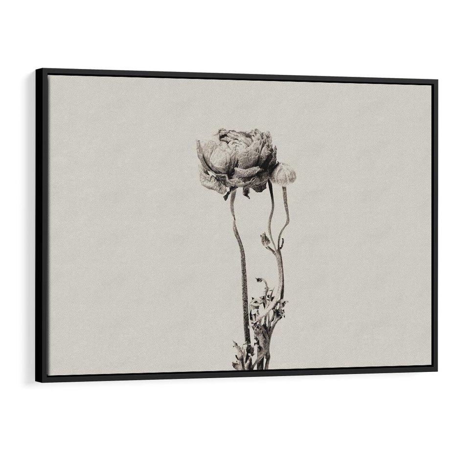 Obraz w ramie 100x70 - Cień Kwiatowej Delikatności - kwiat, cień - rama czarna