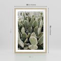 Plakat w ramie 50x70 - Kaktusowa Harmonia - kaktusy, fotografia - rama drewno