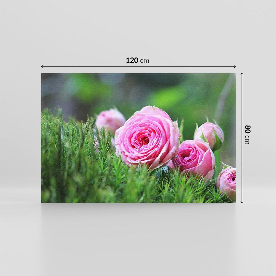 Obraz na płótnie 120x80 - Różane Ukojenie - róże, kwiaty