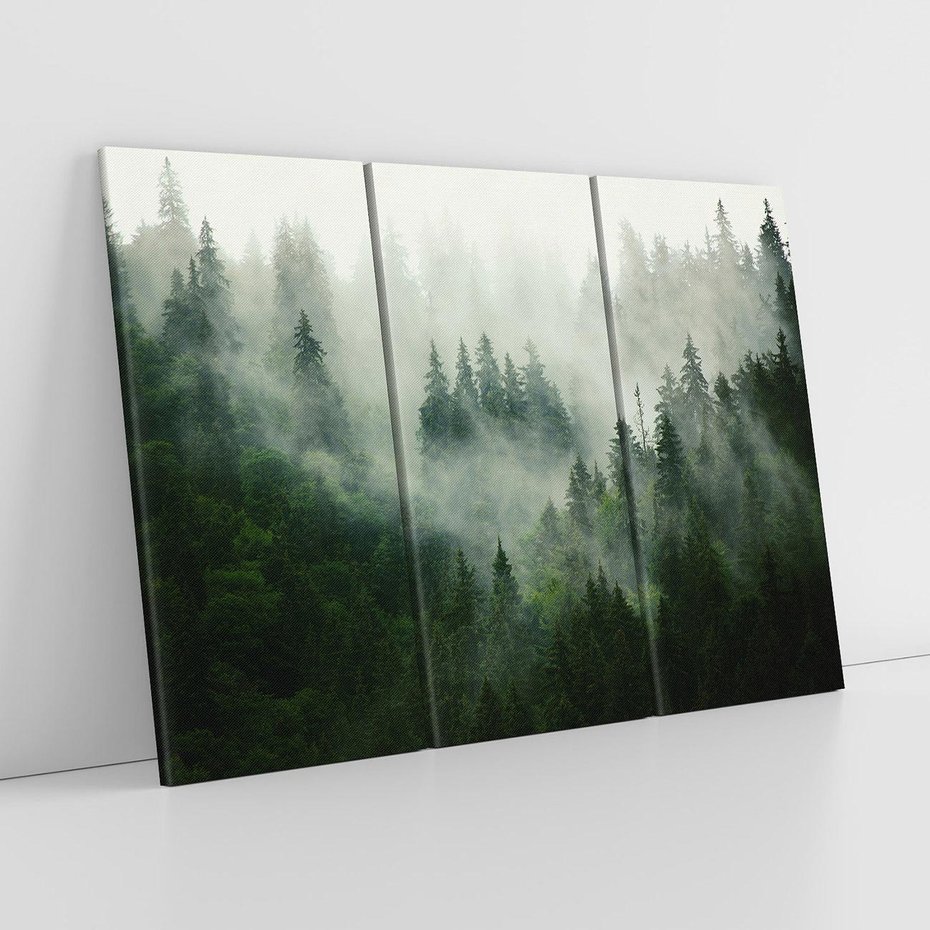 Obraz na płótnie 120x80 - Las Mgły - Las, we