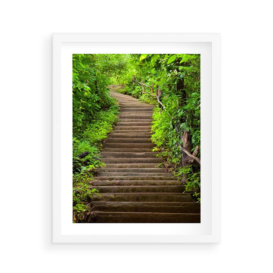 Plakat w ramie 40x50 - Magia Leśnej Ścieżki - ścieżka, w lesie - rama biała