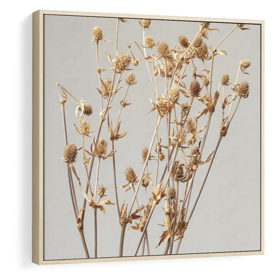 Obraz w ramie 50x50 - Delikatne gipsówki - gipsówka, suche - rama drewno