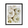 Plakat w ramie 40x50 - Jesienne Dynie: Delikatna Kompozycja - białe dynie, jasna kompozycja - rama czarna