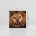 Obraz na płótnie 50x50 - Władca Sawanny - lew, sawanna