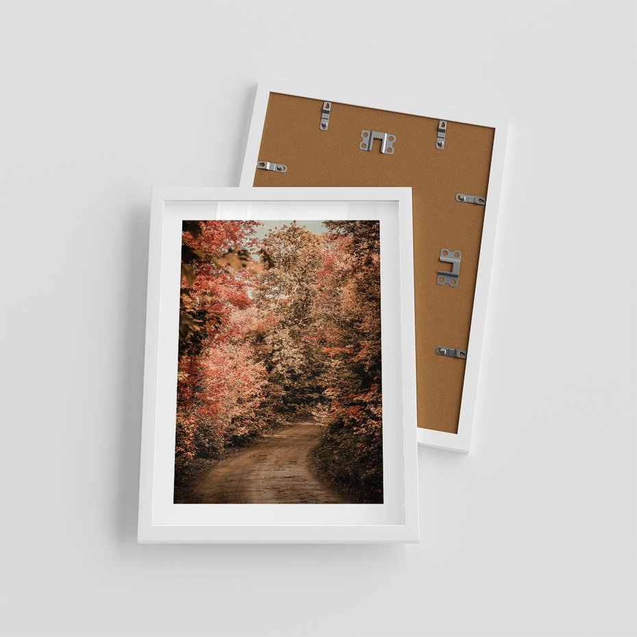 Plakat w ramie 30x40 - Obraz przedstawia jesienne drzewa i czerwone liście na ścieżce w lesie. Ta sceneria doskonale oddaje urok i kolorystykę jesieni w lesie. - las, jesień - rama biała