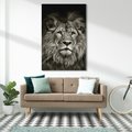 Obraz na płótnie 80x120 - Moc lewego spojrzenia - lew, czarno
