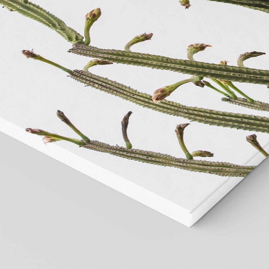 Obraz na płótnie 120x80 - Ekskluzywna Roślinność - kaktusy, liście