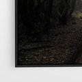 Obraz w ramie 70x50 - Urok Drogi - las, droga - rama czarna