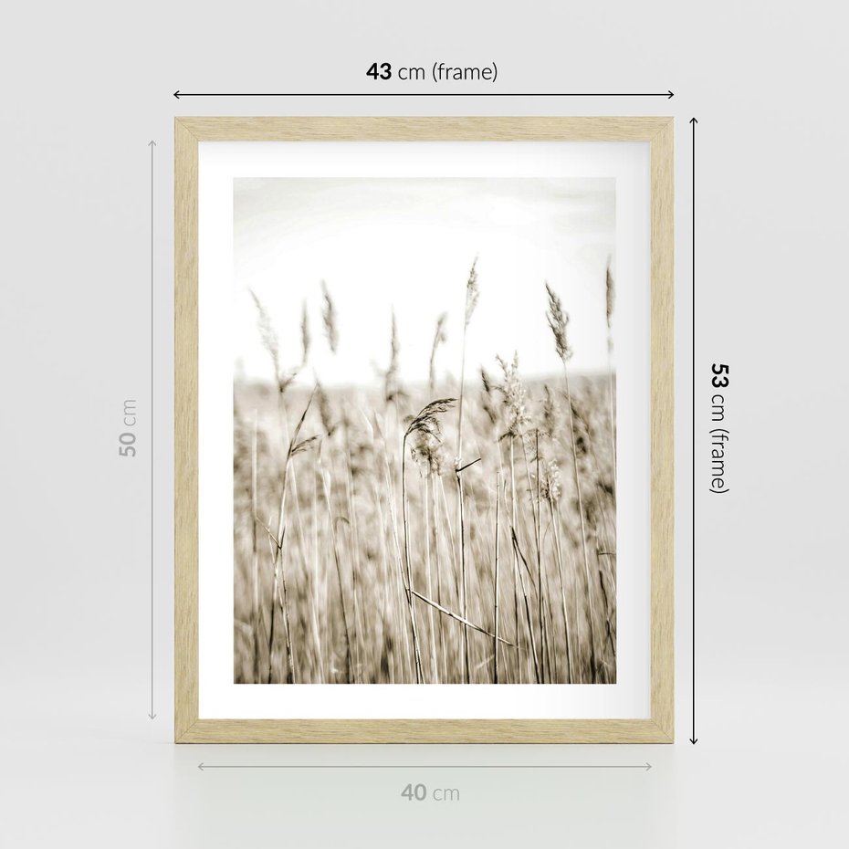 Plakat w ramie 40x50 - Nostalgiczny Pejzaż - suche trawy, pole - rama drewno
