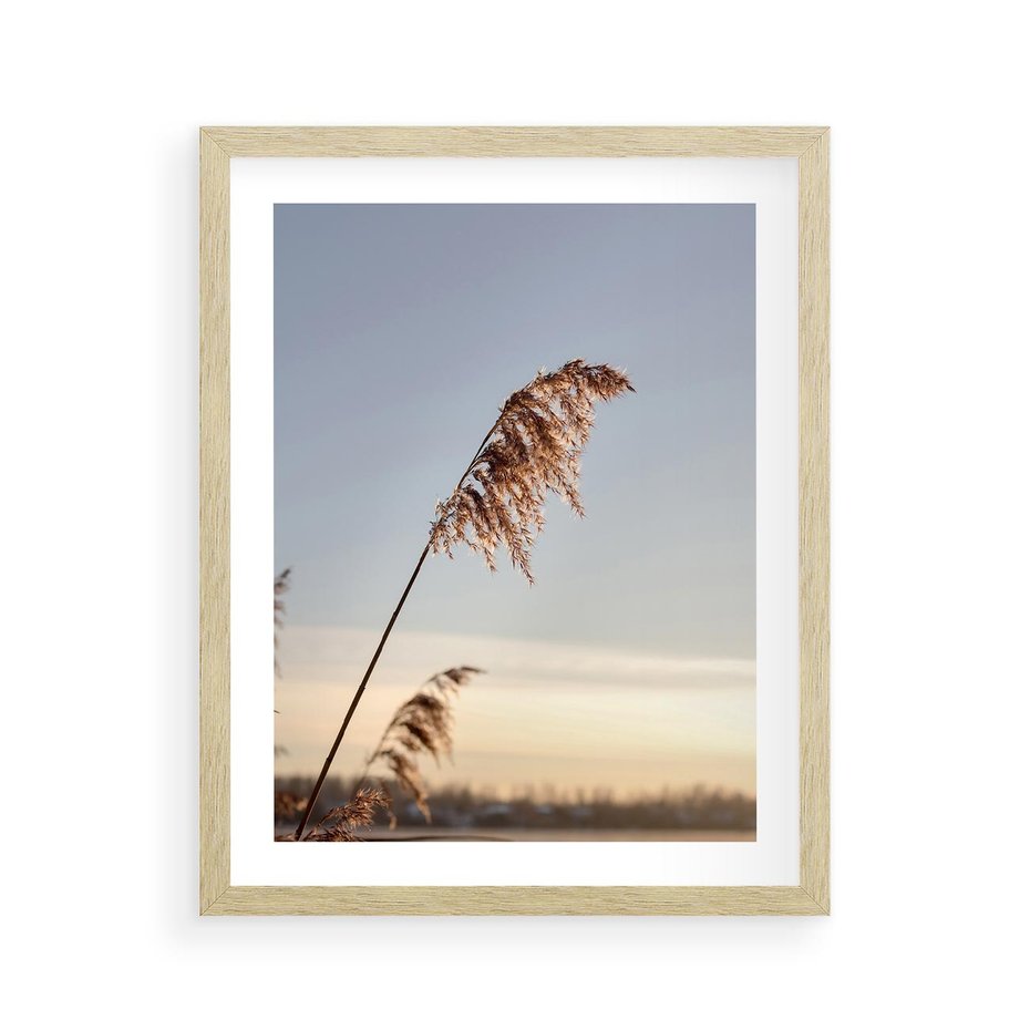 Plakat w ramie 40x50 - Naturalna Delikatność - trawy, boho - rama drewno