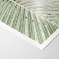 Plakat bez ramy 21x30 - Jasna Zieleń Palmy - liść palmy, zbliżenie