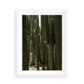 Plakat w ramie 50x70 - Wyjątkowy Klimat Boho - kaktusy, pustynia - rama biała
