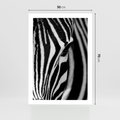Plakat bez ramy 50x70 - Pasy Zebr - zebra, paski