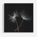 Obraz w ramie 50x50 - Delikatność Wiatru - dmuchawce, makro - rama biała