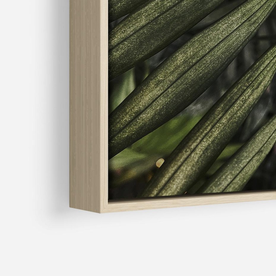 Obraz w ramie 50x50 - W Liściach Ukryte - zdjęcie, fotografia - rama drewno