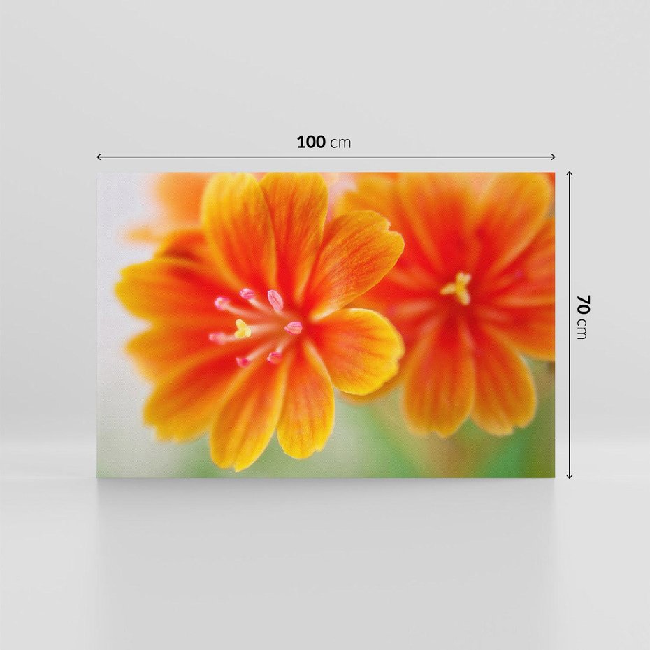 Obraz na płótnie 100x70 - Urok kwiatów - kwiat, kwiaty