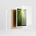 Plakat w ramie 50x70 - Siła Natury - drzewa, las - rama biała