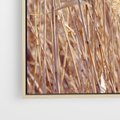 Obraz w ramie 50x50 - Mistrzowskie suche trawy - suche, trawy - rama drewno