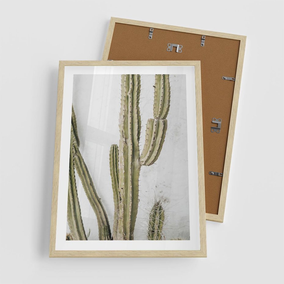 Plakat w ramie 50x70 - Kaktus w Stylu Boho - kaktus, roślina tropikalna - rama drewno