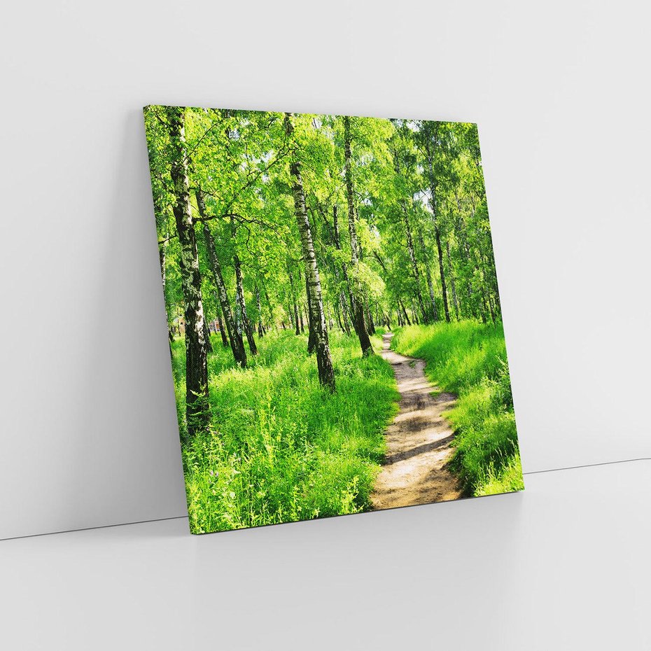 Obraz na płótnie 60x60 - odkryj piękno drzew - las, drzewa