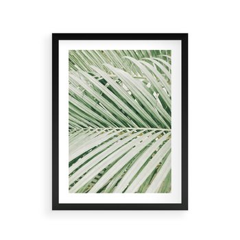 Plakat w ramie 30x40 - Liście Palmy: Egzotyczna Grafika - palma, liście palmy - rama czarna