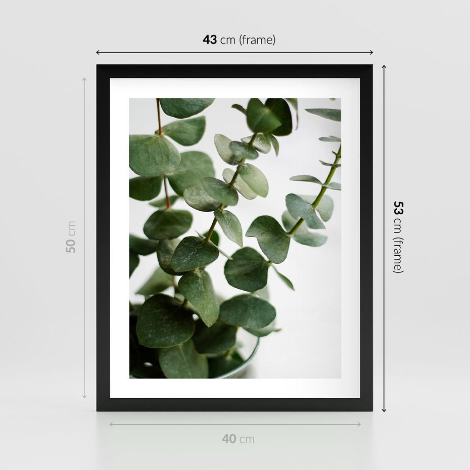 Plakat w ramie 40x50 - Zielone eukaliptusy - eukaliptus, liście - rama czarna