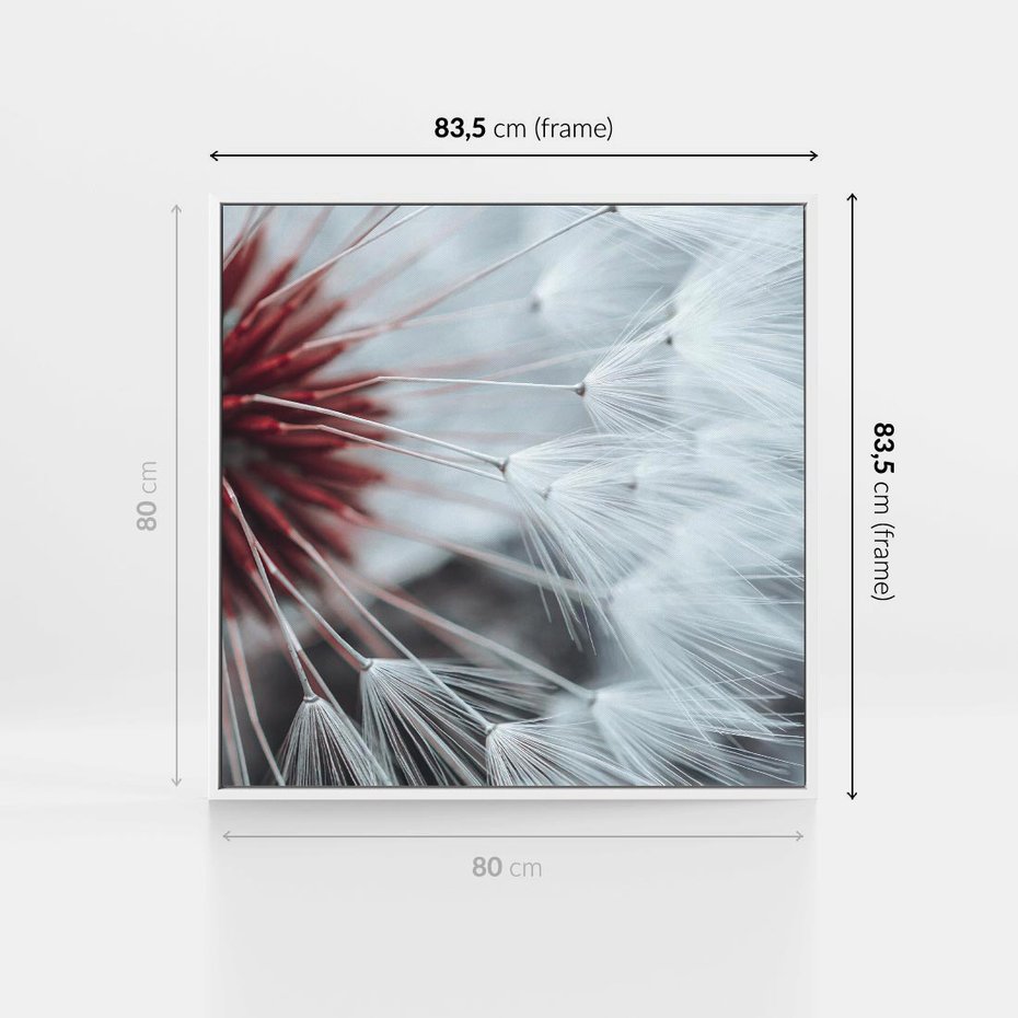Obraz w ramie 80x80 - Makro świat dmuchawca - dmuchawiec, makro - rama biała